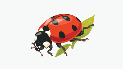 Cute ladybug on a white background in a flat style. Ch