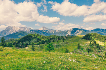 Alpine Meadows, Mountain Valley with Trees, Green Grass and Blue Sky with Clouds. Velika Planina, Slovenia - 773973368