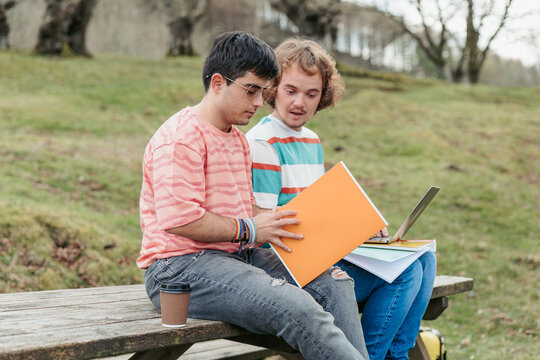 A gay couple, engaged in their studies, reviews notes together on a wooden park bench, surrounded by nature calm