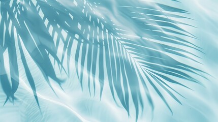 Fototapeta na wymiar Light blue background, palm leaf shadows on the water surface, beautiful shadows, white color palette