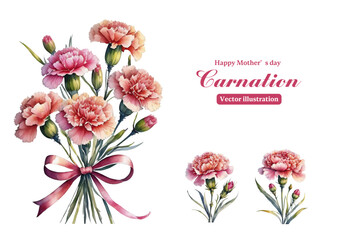 Carnation flowers watercolor flower design vector art illustration on a white background. Mother's day