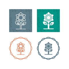 Sunflower Vector Icon