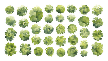 Various green trees, bushes and shrubs, top view for landscape design plan. Isolated watercolor illustration, PNG cutout. - obrazy, fototapety, plakaty
