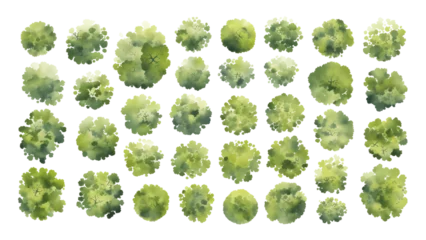 Various green trees, bushes and shrubs, top view for landscape design plan. Isolated watercolor illustration, PNG cutout. © Vasily Merkushev