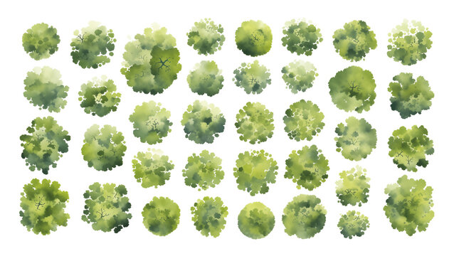 Various green trees, bushes and shrubs, top view for landscape design plan. Isolated watercolor illustration, PNG cutout.