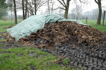 Steaming, stinking dung heap from a farm on a meadow in the open countryside. Langenhagen Kananohe, Hanover district, Germany.