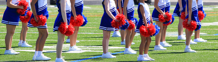 Young cheerleaders standing on a field holding pom poms - obrazy, fototapety, plakaty