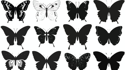 Silhouettebeautiful butterflies isolated on a white flat