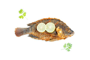 Fried nile tilapia fish with lemon sliced and coriander leaves  isolated on white background, Nile tilapia fish