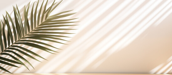 palm leaf of the wall