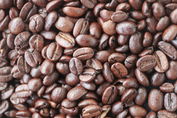 Arabica coffee beans are in the coffee machine