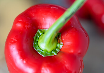 Close up red bell pepper - 773997915