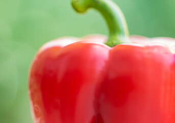 Close up red bell pepper - 773997941