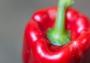 Close up red bell pepper - 773997956