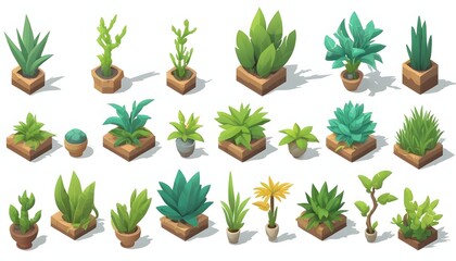 isometric plants set illustrations plants design elements on isolated white background gardening environment nature plantation 