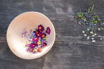 Frisch gepfl&uuml;ckte Wiesenblumen G&auml;nsebl&uuml;mchen und Rotklee in der Holzschale am Holztisch im Fr&uuml;hling