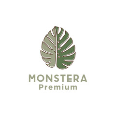 Monstera leaf logo design linear style