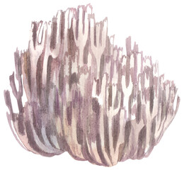 Crown-tipped Coral Edible Mushroom. Watercolor hand drawing painted illustration.