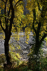 Landscape with forest and Aoos river near the city of Konitsa in Epirus, Greece in autumn - 774014774