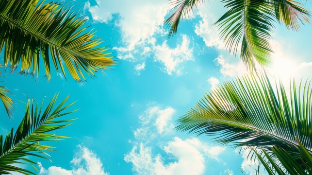 Palm leaves on blue sky background

