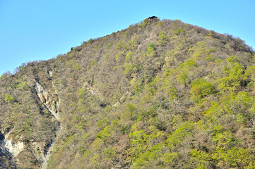 春の丹沢山地　日高東尾根　寿岳の山頂より新緑の塔ノ岳
