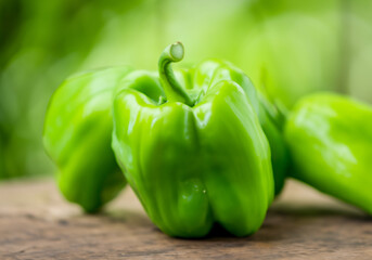 Close up green bell pepper - 774023500