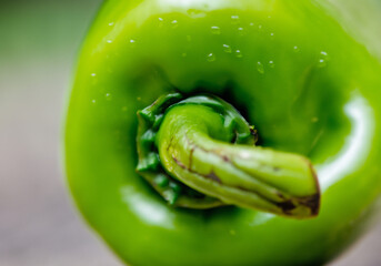 Close up green bell pepper - 774023511