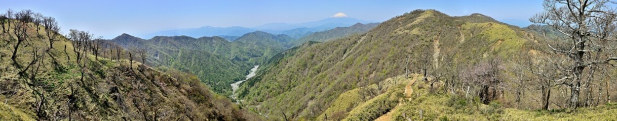 Obraz premium 丹沢山地の丹沢山より富士山と新緑のパノラマ写真 
