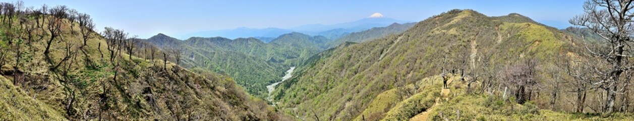 丹沢山地の丹沢山より富士山と新緑のパノラマ写真
