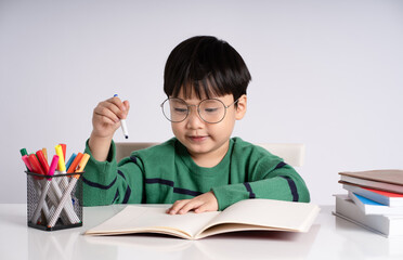 Portrait of an Asian boy studying on a white background
