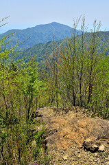 丹沢山地の丹沢山　天王寺尾根の大クドレより大山を望む
