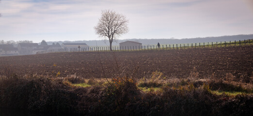 paysage rural avec champ labouré, ferme, arbre et la silhouette d'un homme