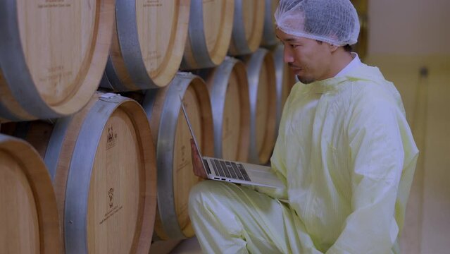 A wine industry quality control expert attentively inspects oak barrels in a cellar, ensuring the finest wine production standards.