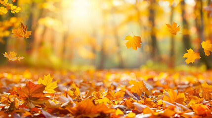 Autumn Leaves Falling, Sunlit Forest Floor, Autumnal Scene