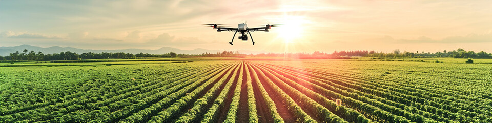Precision Agriculture Technology: Drone flying over agriculture land. Innovative tools, optimizing farming practices, using data for precise resource allocation. - obrazy, fototapety, plakaty