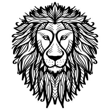 Lion head mandala zentangle. Hand drawing illustration.