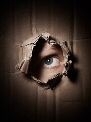 sight through a hole in a box of hiding person - 774041565