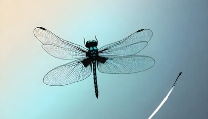 Dragonfly (130) - obrazy, fototapety, plakaty