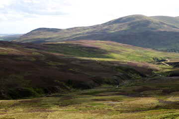Fototapeta na wymiar Scottish landscape - Mount Battock from Glen Esk - Angus - Scotland - UK