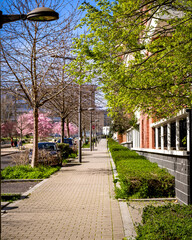 Printemps quartier Atlantis