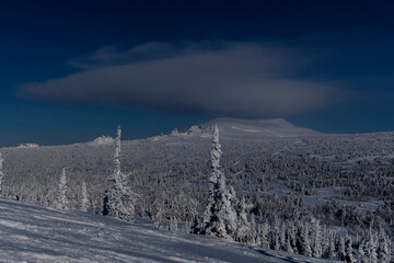 sunny winter morning in the mountains of sheregesh on the ski track.