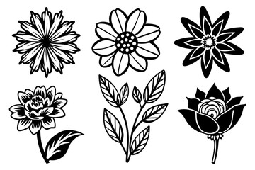 6-different-six-different-hand-drawn-flower vector illustration 