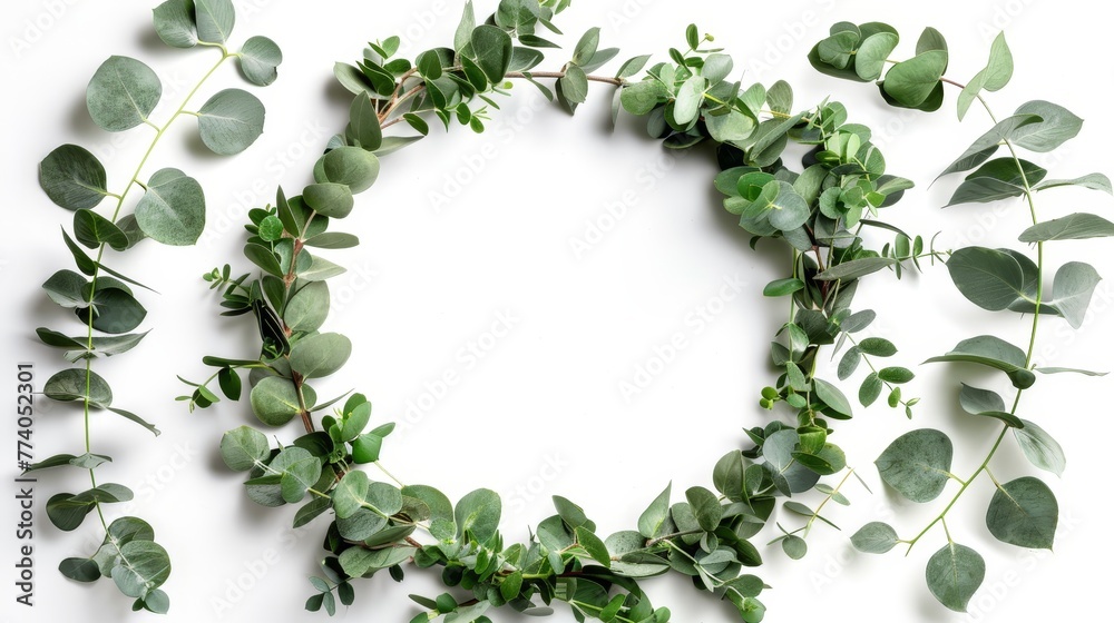 Aufkleber branches of eucalyptus make a wreath frame isolated on white background.