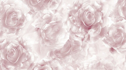 Elegant Soft Pink Roses Background for Sophisticated Design