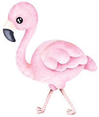Pink flamingo cartoon.Tropical exotic bird.Cute animal.
