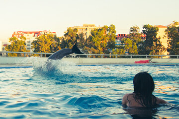 Female tourist in pool watch dolphin jump to water in dolphinarium in open air pool in Batumi
