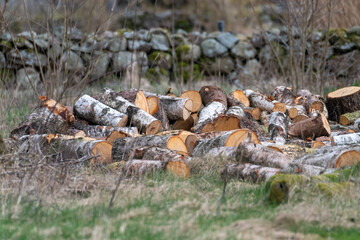 a lot of firewood