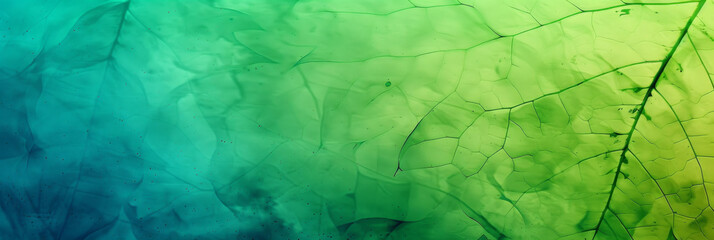 Abstract Green and Blue Cracked Texture Background