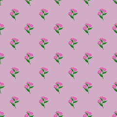 Pink daisy