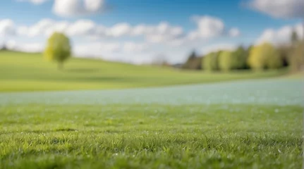 Papier Peint photo Lavable Couleur pistache Beautiful summer natural landscape with lawn and blue sky with white clouds with light fog, shallow depth of field, Panoramic spring background.